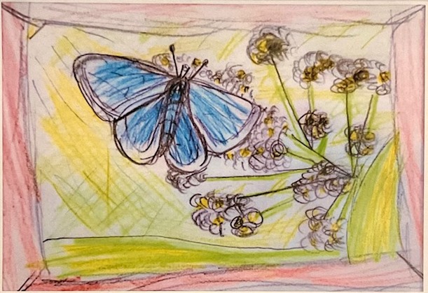 Archie age 9 Overall Winner MCA Summer Art Competition IMG 9649