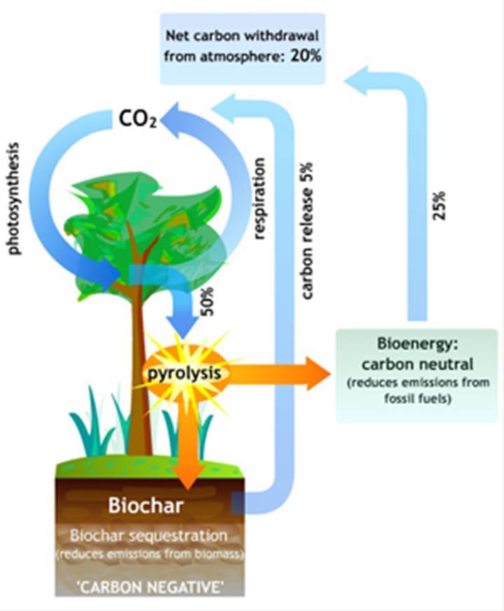 Biochar sequestration clipart
