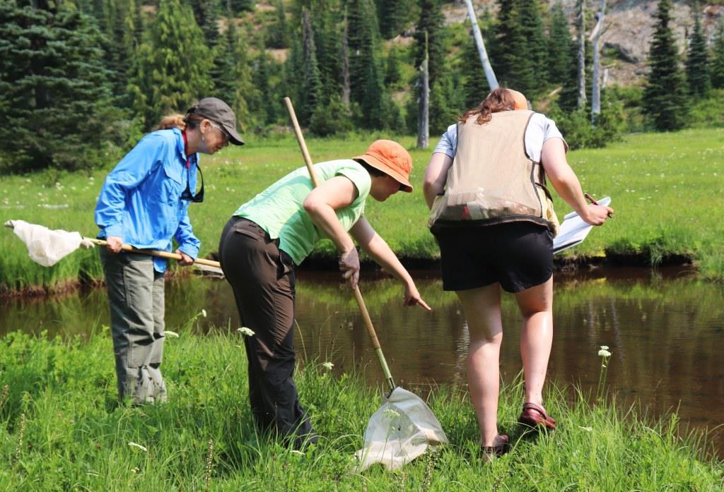 Citizen Science Volunteers 44094809031