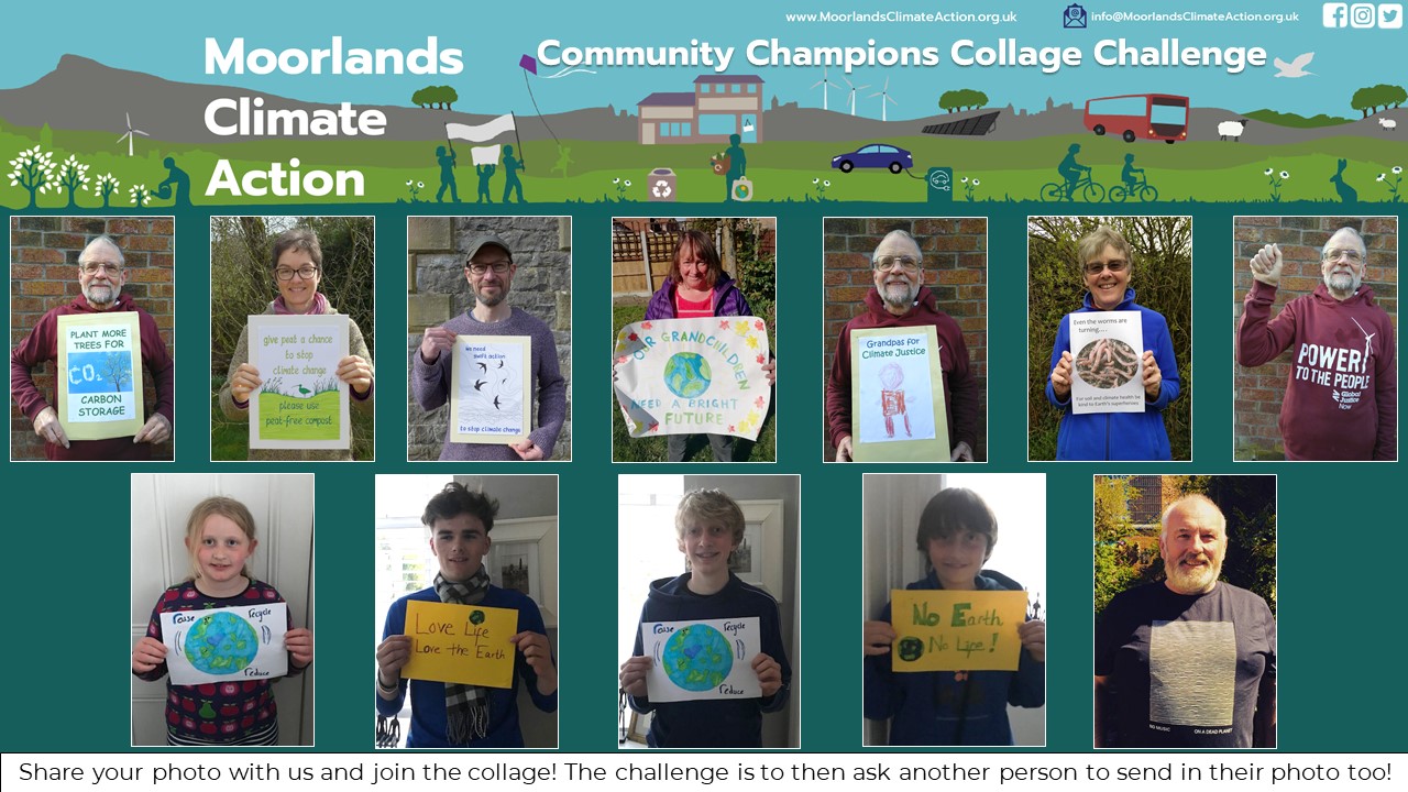 Community collage challenge 4