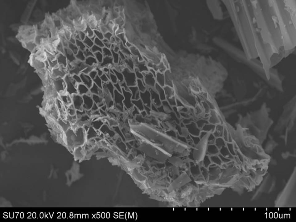 Magnified biochar from Clipart