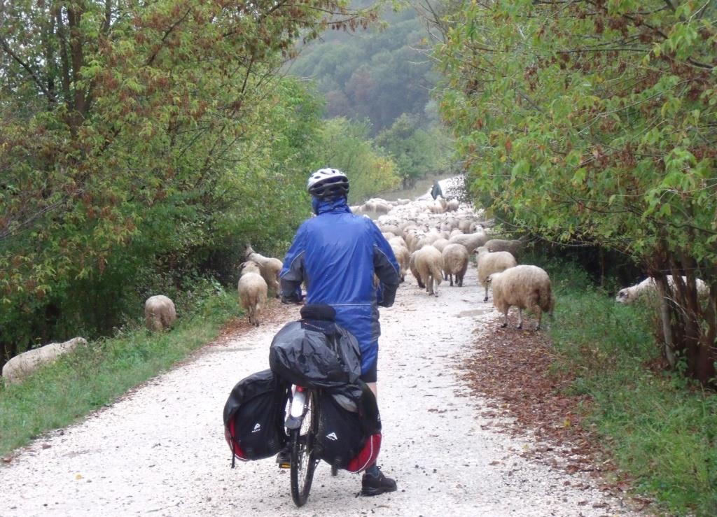 Slow travel in Transylvania