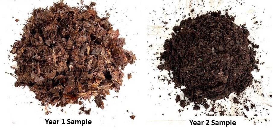 leaf mould samples